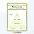 Darbo lapas – Maisto piramidė: Kurios grupės svarbiausios?